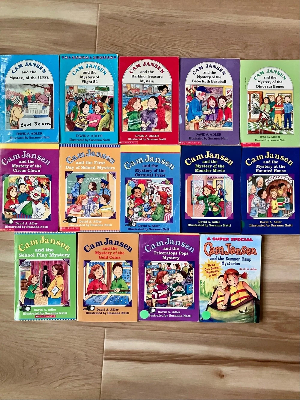 Cam Jansen Mystery Books Lot of 14  Paperback